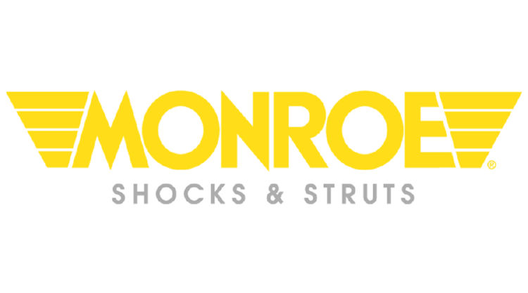 MONROE SHOCKS/STRUTS